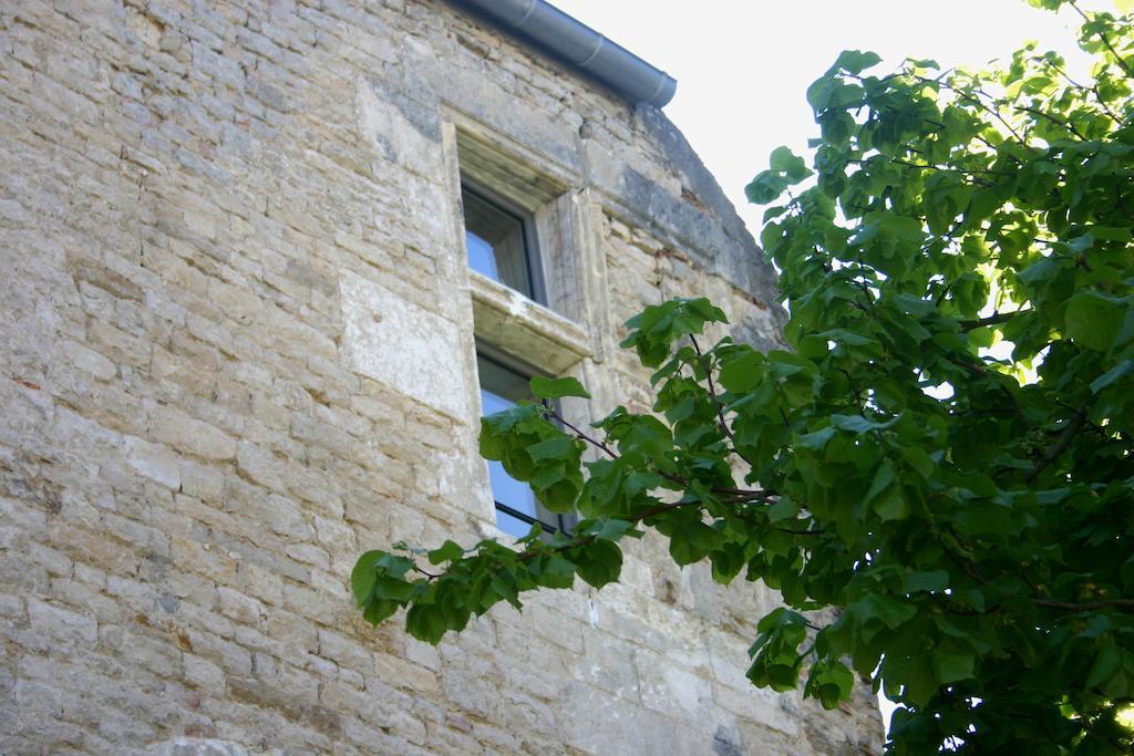 فندق Sy-La Terrasse Vézelay المظهر الخارجي الصورة