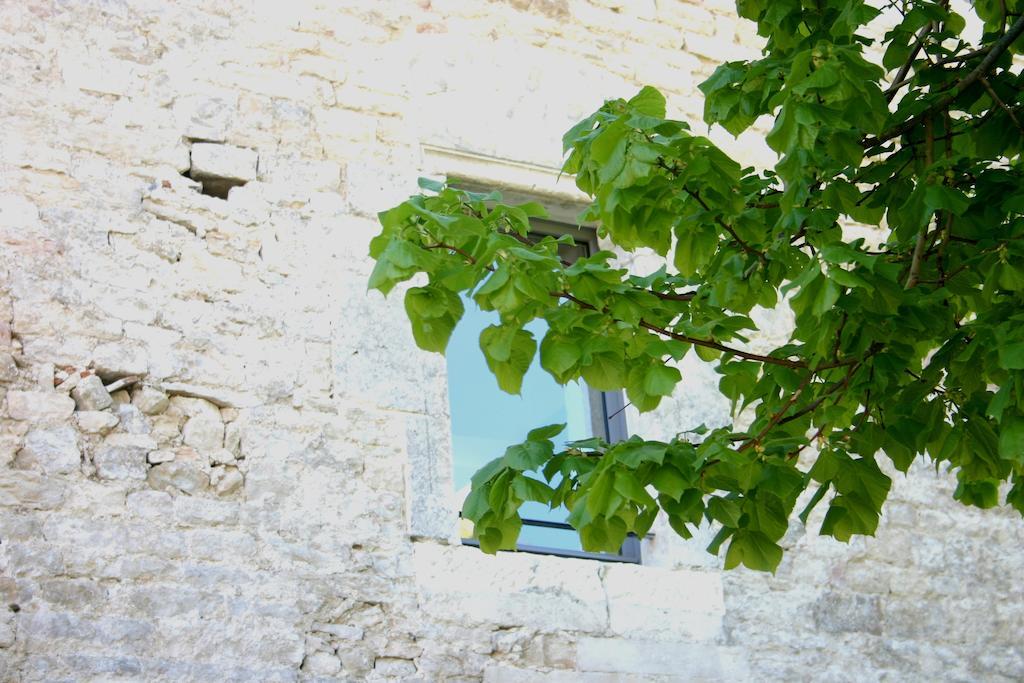 فندق Sy-La Terrasse Vézelay المظهر الخارجي الصورة